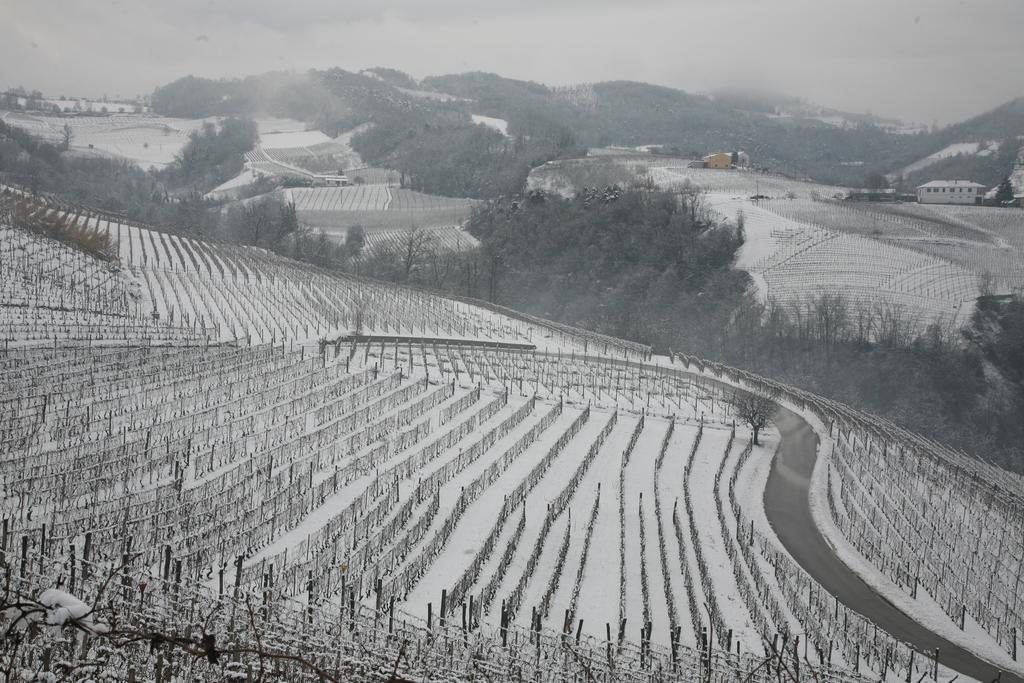 Apartmán I Boidi Nizza Monferrato Exteriér fotografie