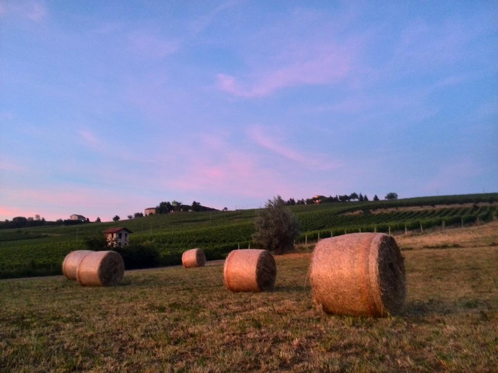 Apartmán I Boidi Nizza Monferrato Exteriér fotografie