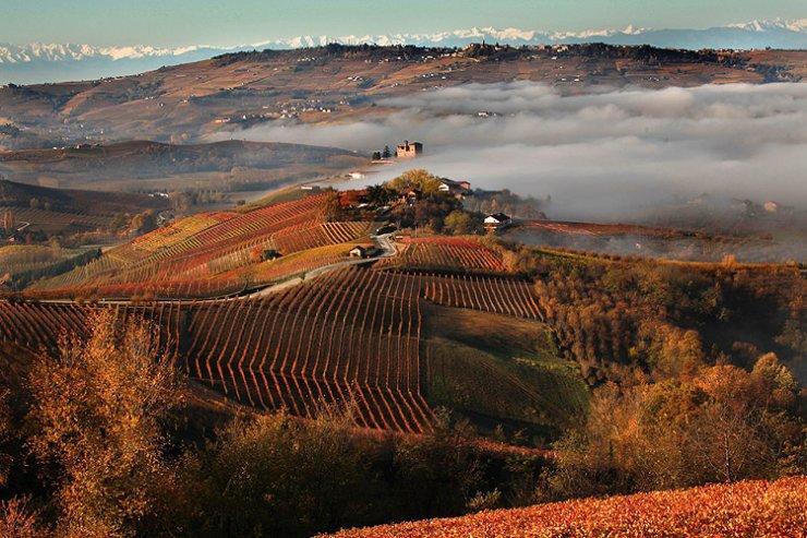 Apartmán I Boidi Nizza Monferrato Exteriér fotografie