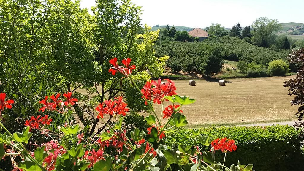 Apartmán I Boidi Nizza Monferrato Exteriér fotografie